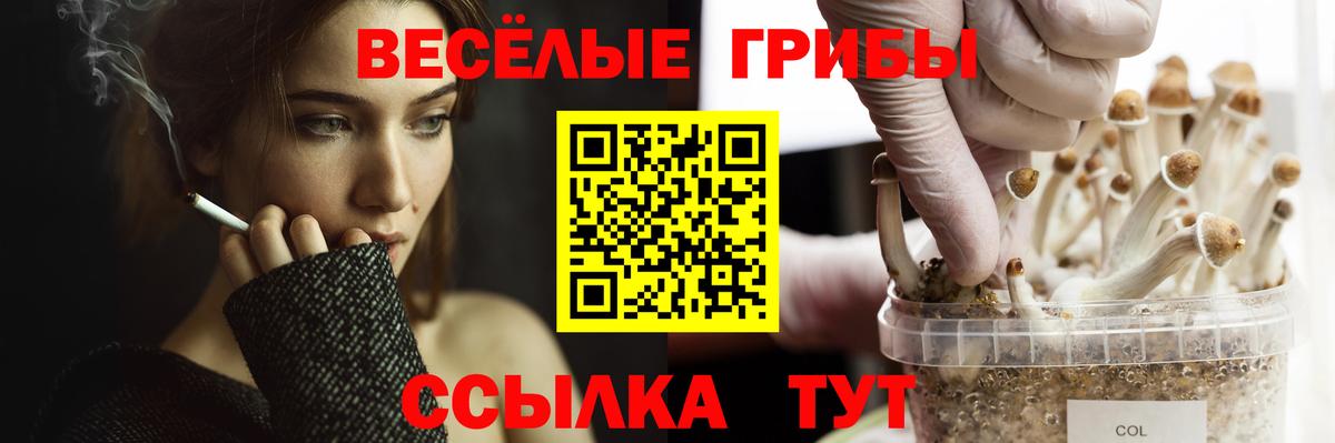 ГАШИШ  Вход с VPN  Канабис  Киржач  Мефедрон  